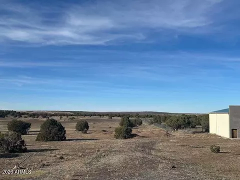 4500 E Deuce Of Clubs -- #210-01-041D, Show Low, AZ 85901