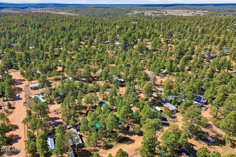 2877 Lazy Bear Trl, Overgaard, AZ 85933 photo 31