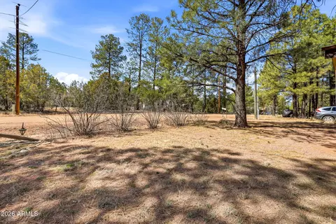 2877 Lazy Bear Trl, Overgaard, AZ 85933 photo 3