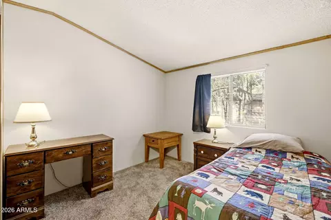 2877 Lazy Bear Trl, Overgaard, AZ 85933 photo 21