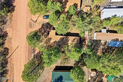 2877 Lazy Bear Trl, Overgaard, AZ 85933 photo 30