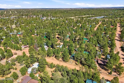 2877 Lazy Bear Trl, Overgaard, AZ 85933 photo 29