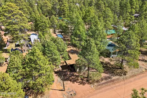 2877 Lazy Bear Trl, Overgaard, AZ 85933 photo 28