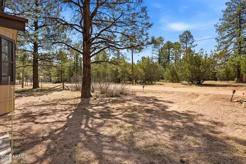 2877 Lazy Bear Trl, Overgaard, AZ 85933 photo 5