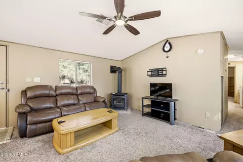 2877 Lazy Bear Trl, Overgaard, AZ 85933 photo 11