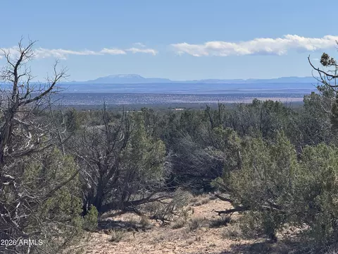 lot75 Red Sky Rnch #75, Saint Johns, AZ 85936