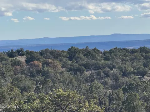 lot93 Red Sky Rnch #93, Saint Johns, AZ 85936