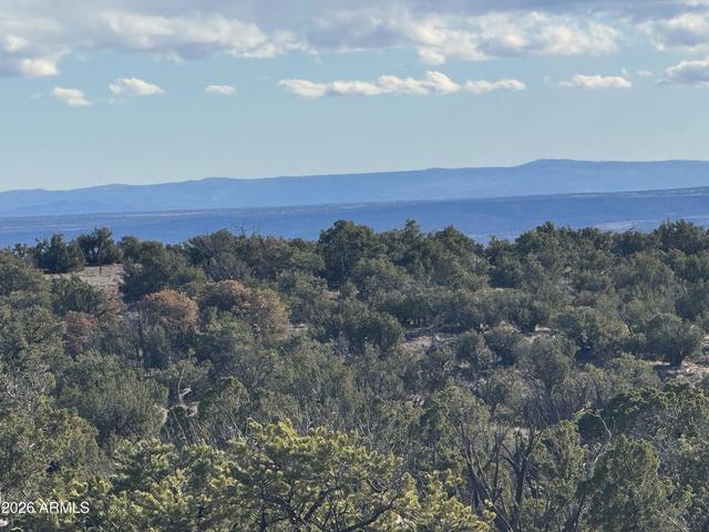 lot93 Red Sky Rnch #93, Saint Johns, AZ 85936