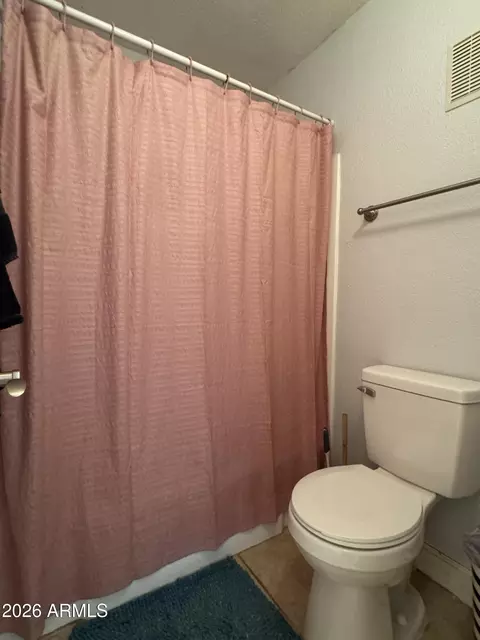 Bath - 3825 E Camelback Rd #276, Phoenix, AZ 85018 photo 1 of 1