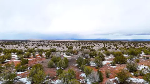 0 Dusty Rose Ranch Rd A 16 Acres -- #306A, Seligman, AZ 86337