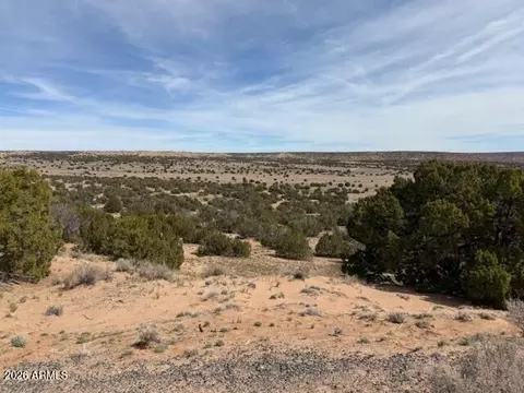 191 N 191 Aly #20434058, Saint Johns, AZ 85936