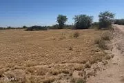 0 W Cloud Rd #-, Wittmann, AZ 85361 photo 3