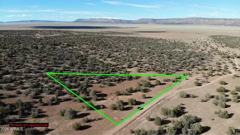 57950 N Potrero Pkwy #4019, Seligman, AZ 86337