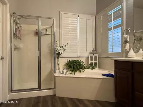 Bath - 10709 E Knowles Ave, Mesa, AZ 85209 photo 3 of 6