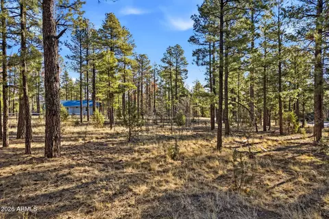 2090 Knotty Pine Cir #019F, Overgaard, AZ 85933