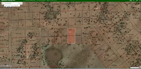 NNNN Comanche Drive #-, Concho, AZ 85924 photo 3
