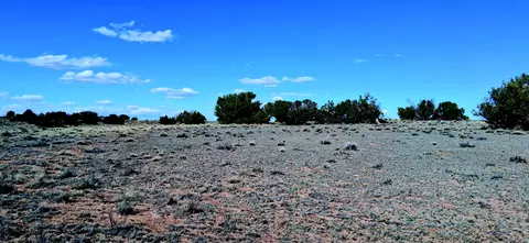 10 15 Ac Unnamed Rd #0, Sanders, AZ 86512