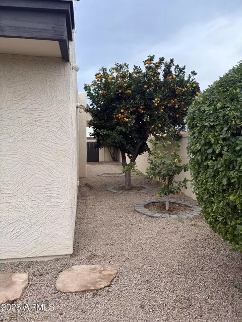 7006 E Jensen St #164, Mesa, AZ 85207 photo 4