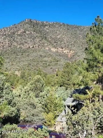 lot163 N Portal Dr #163, Pine, AZ 85544