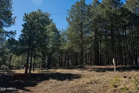 1080 Pond Cir #890, Forest Lakes, AZ 85931