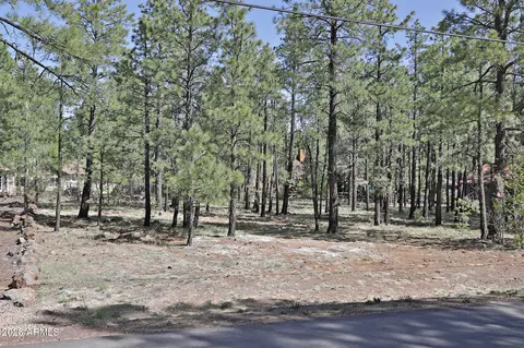 7466 Buck Springs Rd #175, Pinetop, AZ 85935