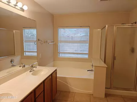 Bath - 9310 E Lobo Ave, Mesa, AZ 85209 photo 2 of 3