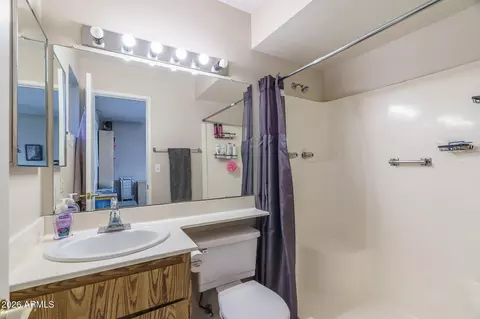 Bath - 2602 E Grovers Ave, Phoenix, AZ 85032 photo 1 of 2