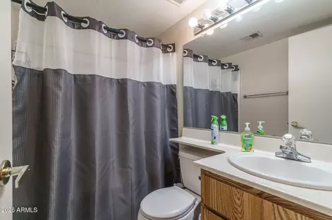 Bath - 2602 E Grovers Ave, Phoenix, AZ 85032 photo 2 of 2