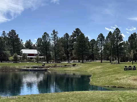 Other - 2644 Lodge Loop, Overgaard, AZ 85933 photo 10 of 10