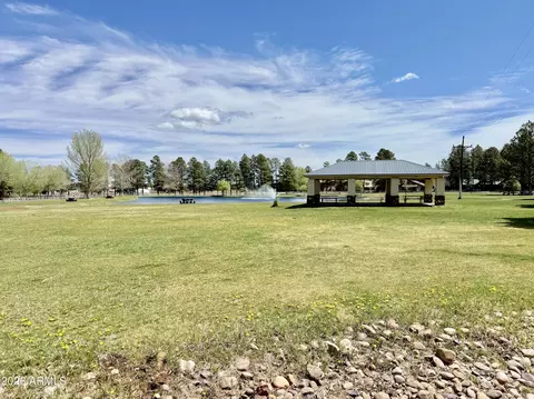 Other - 2644 Lodge Loop, Overgaard, AZ 85933 photo 9 of 10