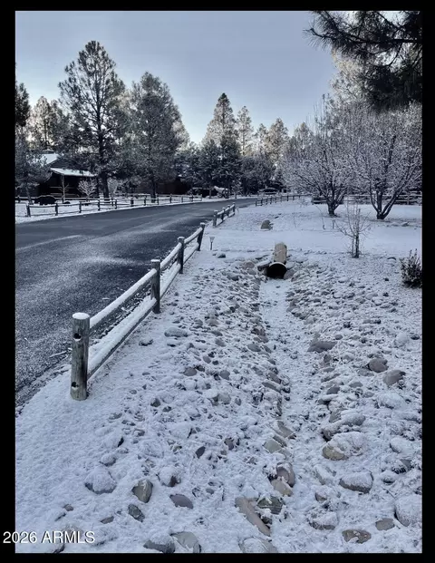 Other - 2644 Lodge Loop, Overgaard, AZ 85933 photo 6 of 10