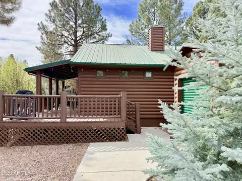 Exterior - 2644 Lodge Loop, Overgaard, AZ 85933 photo 6 of 8