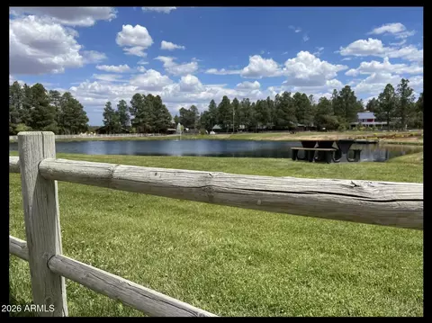 View/Area - 2644 Lodge Loop, Overgaard, AZ 85933 photo 1 of 1