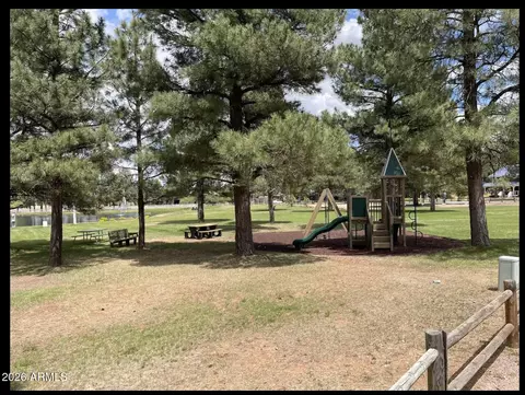 Other - 2644 Lodge Loop, Overgaard, AZ 85933 photo 5 of 10