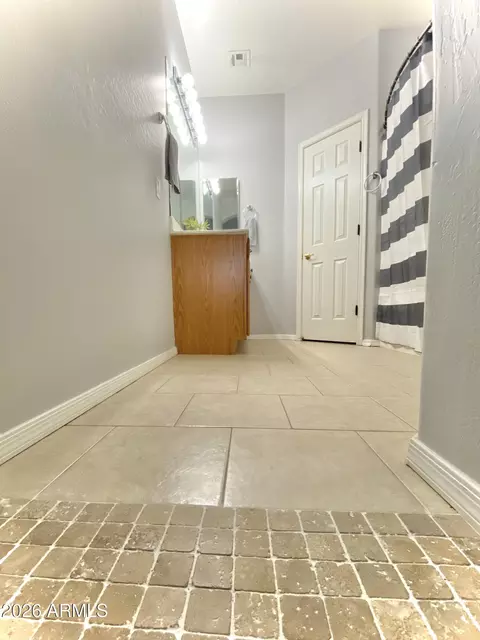 Bath - 9826 E Flossmoor Cir, Mesa, AZ 85208 photo 1 of 5