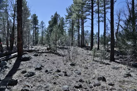 1030 W Big Springs Trl #-, Lakeside, AZ 85929