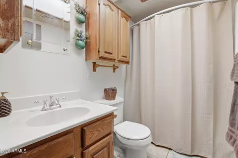 Bath - 6740 W Ridge Rd, Pine, AZ 85544 photo 1 of 2