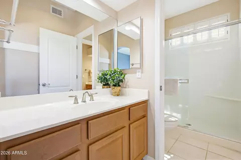 Bath - 2630 E Silverwood Dr, Phoenix, AZ 85048 photo 8 of 10