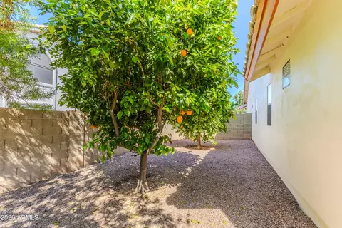 Exterior - 2765 El Moro Ave, Mesa, AZ 85204 photo 8 of 15