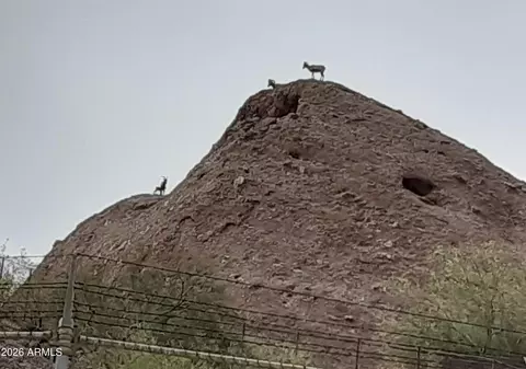 Other - 101 E Papago Dr E, Tempe, AZ 85288 photo 5 of 5