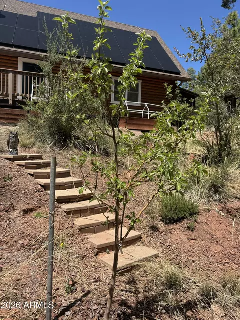 Other - 228 E Belluzzi Blvd, Payson, AZ 85541 photo 23 of 25