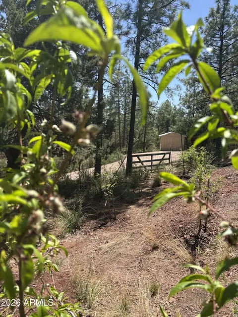 Other - 228 E Belluzzi Blvd, Payson, AZ 85541 photo 24 of 25