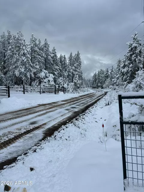 Other - 228 E Belluzzi Blvd, Payson, AZ 85541 photo 22 of 25