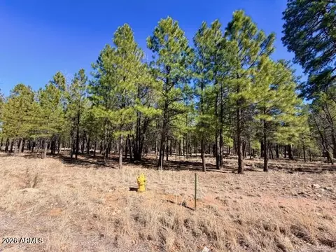 1921 Pine Canyon Dr #170, Happy Jack, AZ 86024