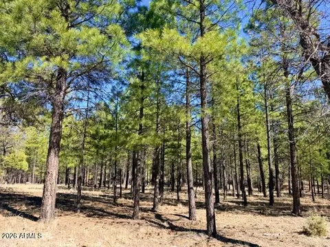 1947 Pine Canyon Dr #171, Happy Jack, AZ 86024