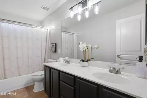 Bath - 1225 E Tyson Ct, Gilbert, AZ 85295 photo 4 of 4