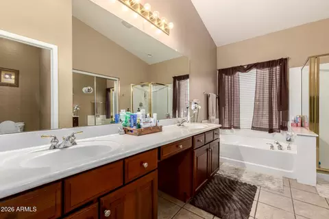 Bath - 10664 E Lobo Ave, Mesa, AZ 85209 photo 1 of 3