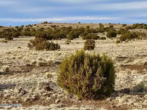 tbd Co Rd 5150 122 Acres -- #-, Concho, AZ 85924