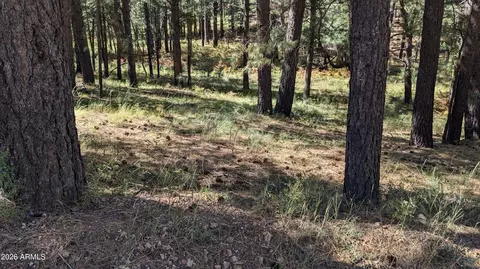 1878 Sheep Springs Rd #427, Forest Lakes, AZ 85931