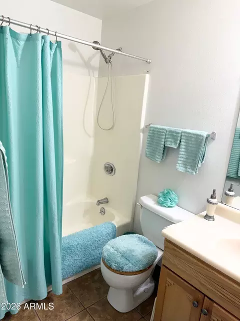 Bath - 7919 E Flossmoor Ave, Mesa, AZ 85208 photo 4 of 4
